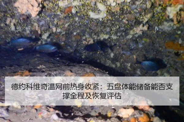 德约科维奇温网前热身收紧：五盘体能储备能否支撑全程及恢复评估